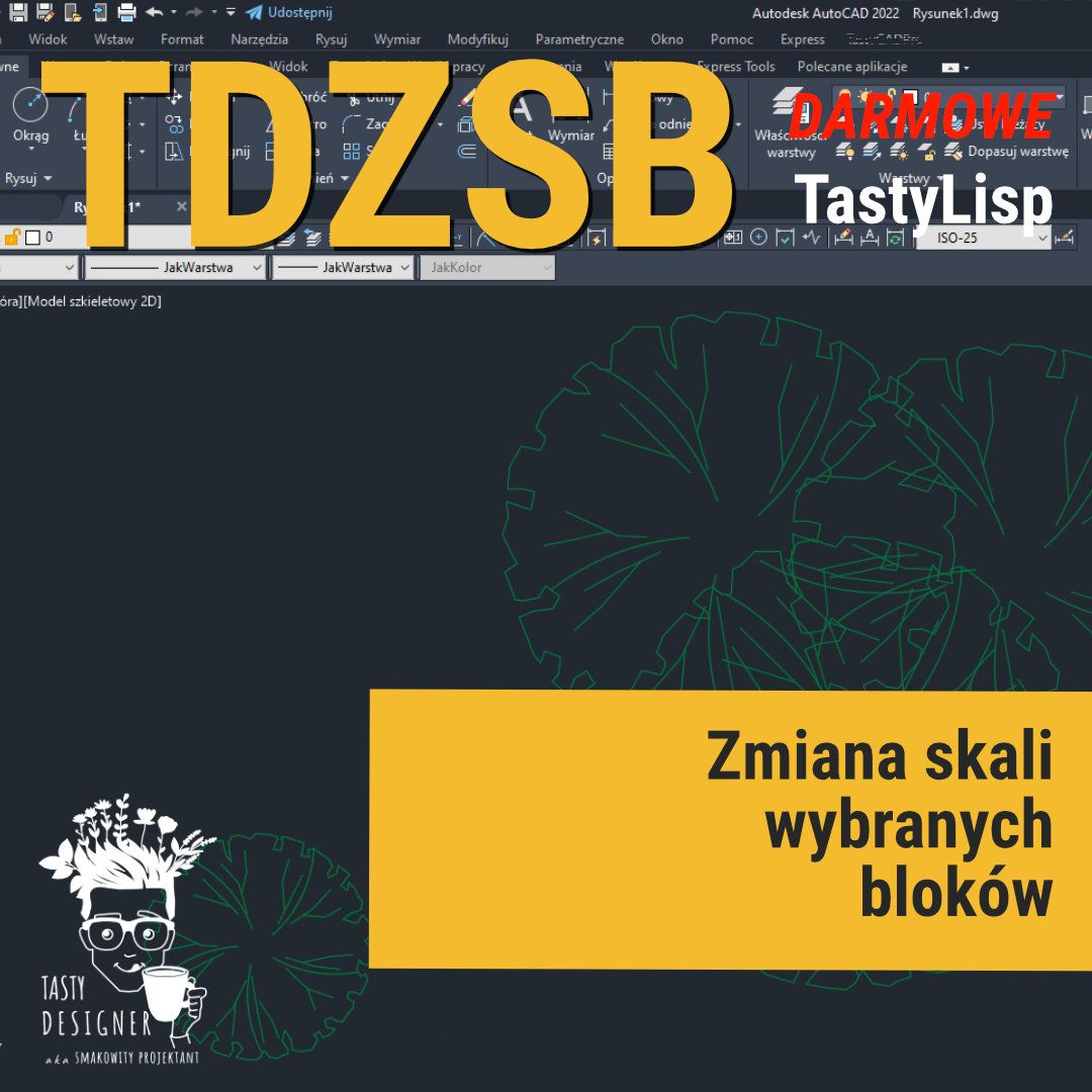 tdzsb2