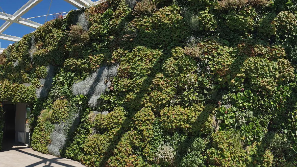 Zielona ściana na dachu kamienica Wyspa Słodowa