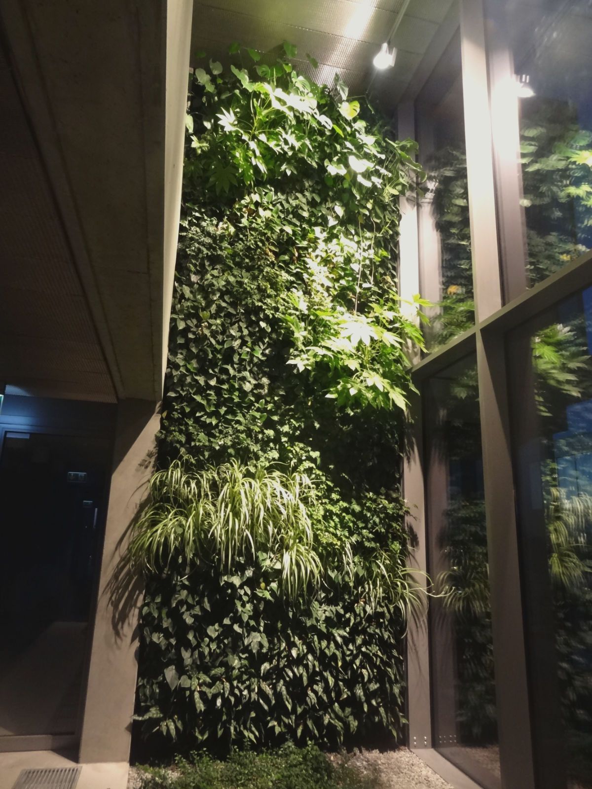 Oxygen Park - zielone ściany doświetlone specjalistycznymi lampami